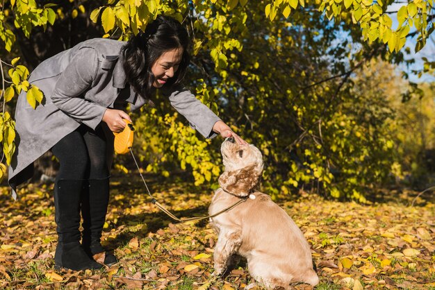 La donna asiatica gioca con il cane nella sosta di autunno. Foglie cadute in background.