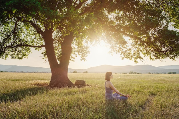 La donna attraente pratica lo yoga in natura in estate