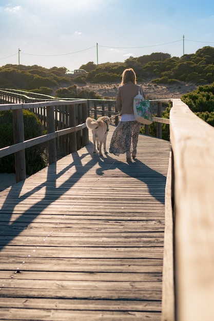 La donna cammina con il suo cane su una passerella di legno al tramonto