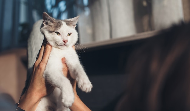 La donna caucasica sta tenendo il suo gatto e sta giocando con esso nel letto sdraiato al mattino