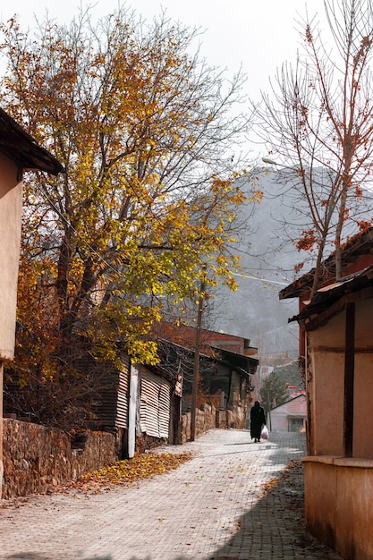 La donna che si allontana per strada. La vita in Anatolia. Natura e strada.
