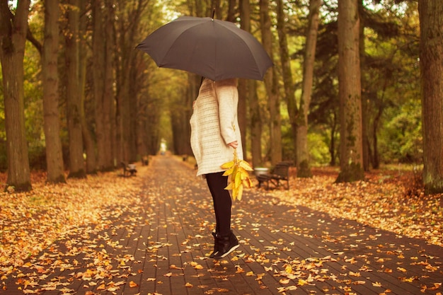 La donna con un ombrello cammina nella sosta di autunno