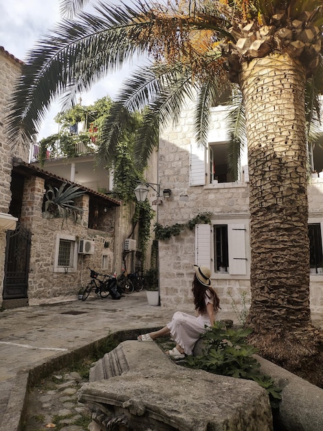 La donna è seduta sotto una grande palma sulla piazza della città vecchia di Budva, Montenegro