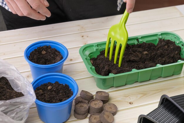 La donna fa buchi nel terreno con un attrezzo da giardino per seminare semi in un contenitore per piantine Preparazione per piantare piantine a casa Giardinaggio coltivazione di verdure ed erbe per il cibo