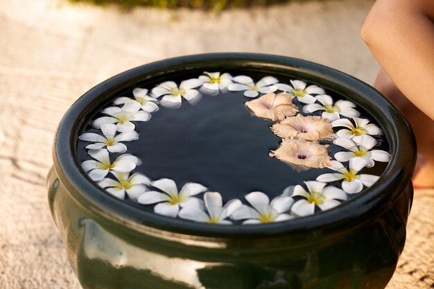 La donna fa la disposizione della decorazione in una ciotola verde sull'acqua dei fiori di plumeria del frangipani Vista isolata delle mani e della composizione floristica Concetto della stazione termale dell'aroma