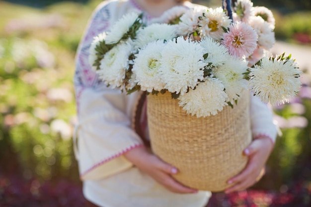 La donna in camicia tradizionale ucraina tiene un mazzo di crisantemi bianchi e rosa in un sacchetto di paglia Concetto di autunno passeggiata nel campo alla luce del sole con fiori
