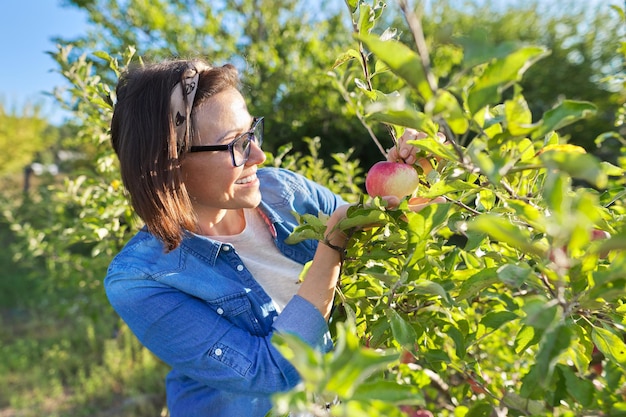 La donna in un meleto del sole tiene in mano una mela rossa matura, copia spazio. Raccolto, autunno, cibo sano naturale biologico, giardinaggio, frutta, concetto di persone