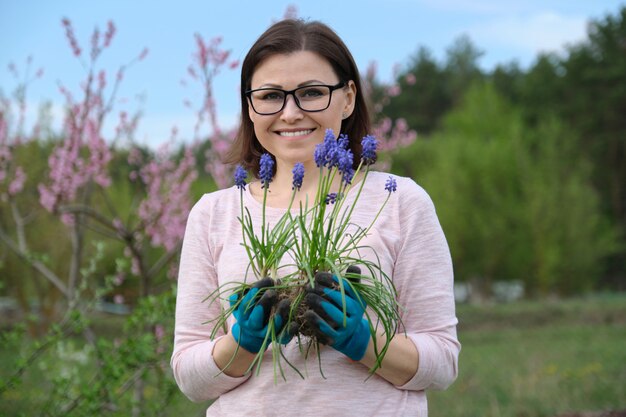 La donna matura nel giardino di primavera con i guanti pianta il giacinto blu del topo dei fiori