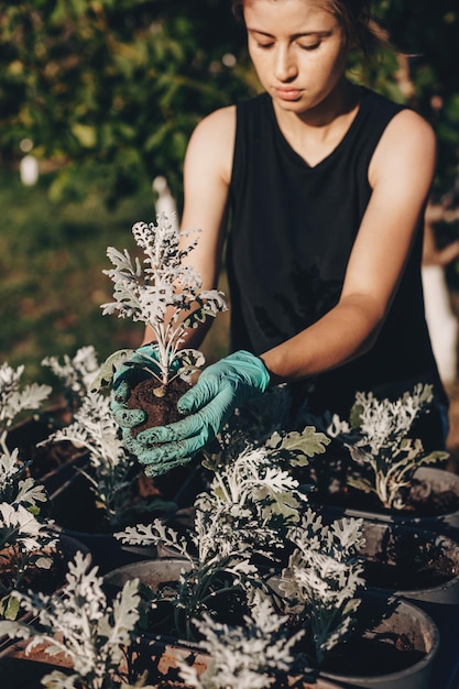 La donna mette la pianta nel concetto di giardinaggio primaverile del suolo