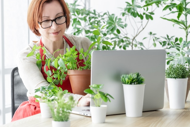 La donna nella serra si prende cura delle piante vicino al suo posto di lavoro con il computer portatile.
