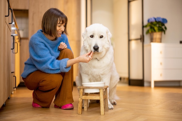 La donna nutre il suo enorme cane bianco a casa