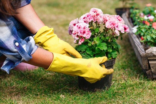 La donna passa indossare guanti gialli che tengono e che piantano i fiori