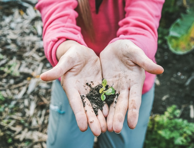 La donna passa la piantatura del seme nel giardino della casa del cortile