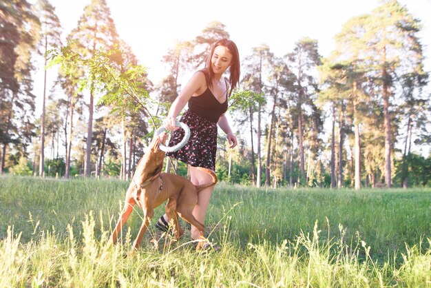 La donna sorridente gioca con un cane allegro nel bosco. la donna gioca con un cucciolo in un parco per un giocattolo per cani.