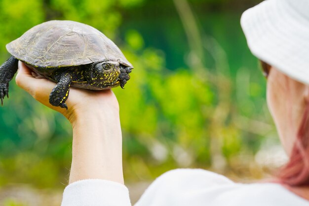 La donna tiene in mano una piccola tartaruga Lascia la tartaruga alla natura per aver fatto merito