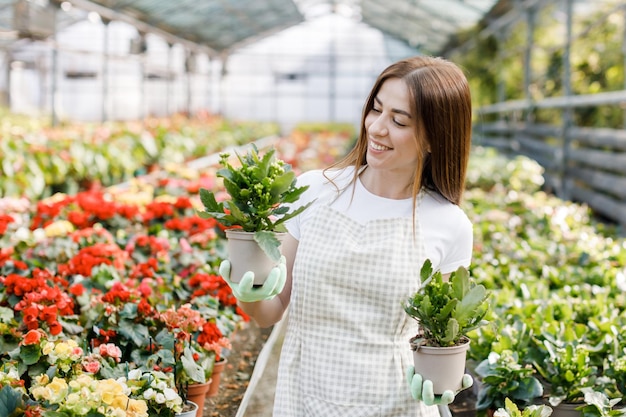 La donna tiene un vaso di fiori nelle sue mani che coltivano piante in vendita pianta come regalo fiori in una pianta in vaso di serra