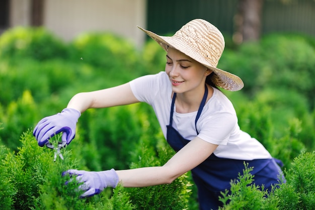 La donna utilizza lo strumento di giardinaggio per tagliare la siepe, tagliare i cespugli con le cesoie da giardino.