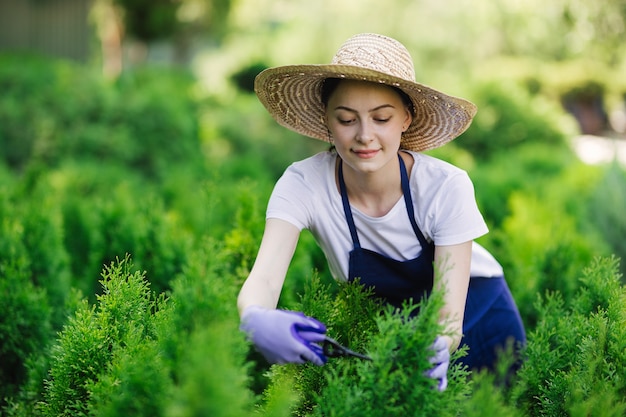 La donna utilizza lo strumento di giardinaggio per tagliare la siepe, tagliare i cespugli con le cesoie da giardino.