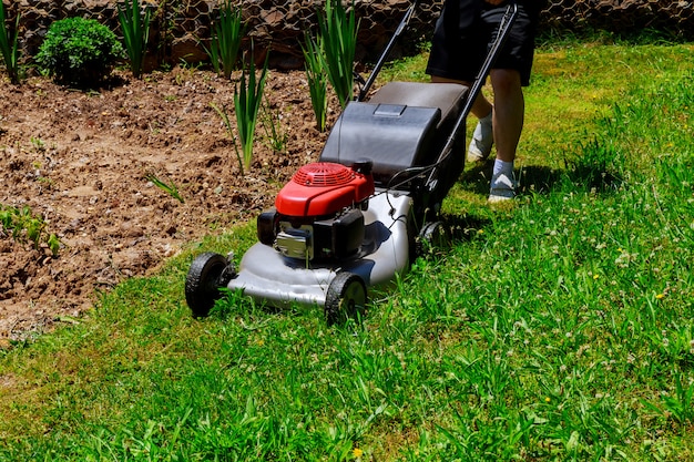 La falciatrice viene utilizzata dal giardiniere per falciare l&#39;erba