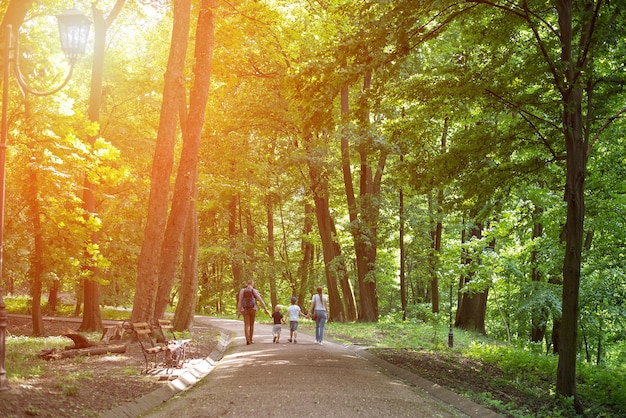 La famiglia cammina nei boschi in una giornata di sole Passeggiate nella natura Vista posteriore