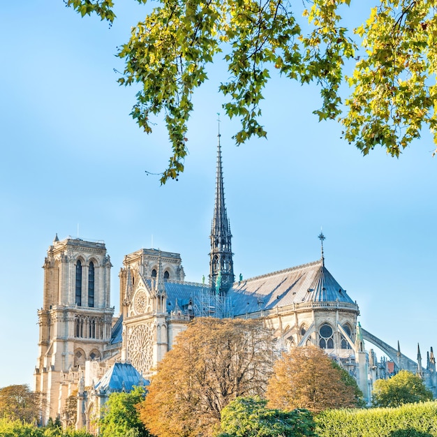 La famosa cattedrale di Notre Dame de Paris con cielo blu