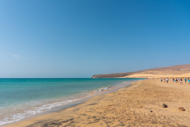 La famosa spiaggia di Sotavento nel sud di Fuerteventura, Isole Canarie. Spagna