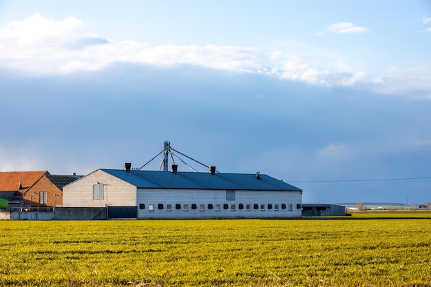 La fattoria americana si trova sul campo agricolo contro il cielo blu