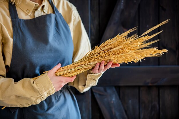 La femmina in grembiule tiene le spighette del grano