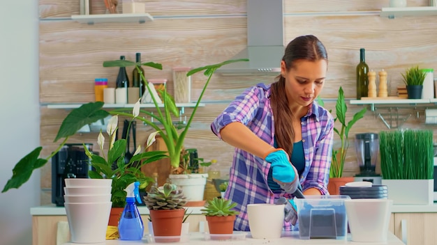 La femmina trapianta una piccola succulenta in un vaso di ceramica bianca. Donna giardiniere che versa terreno fertile in un vaso di fiori, ripianta la pianta, usando pala, guanti e pianta d'appartamento per la decorazione della casa.