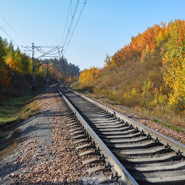 La ferrovia attraversa un bellissimo bosco autunnale con alberi colorati.