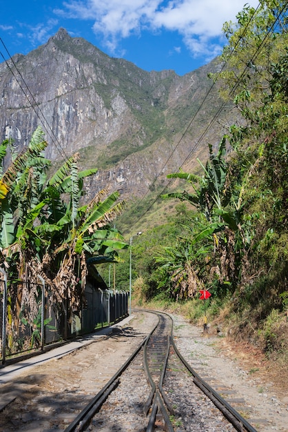 La ferrovia che attraversa la giungla