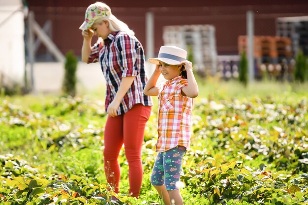 la figlia e la madre stanno lavorando nell'orto, hanno raccolto le fragole