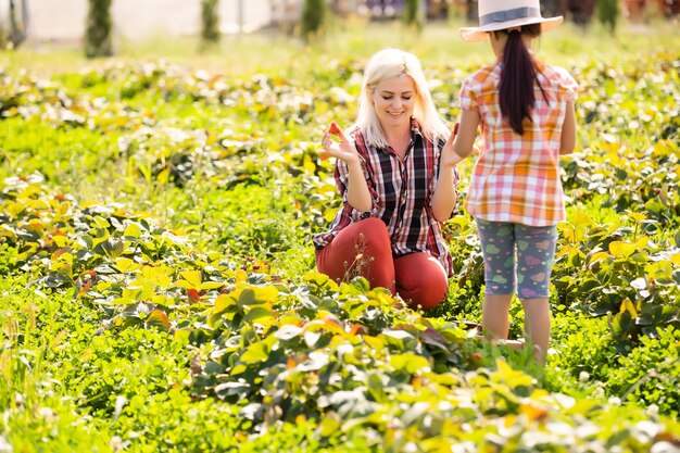 la figlia e la madre stanno lavorando nell'orto, hanno raccolto le fragole