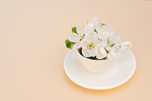 La fioritura bianca di melo della molla fiorisce in una tazza di caffè su un fondo beige. Concetto di primavera estate. Biglietto d'auguri. Copia spazio.