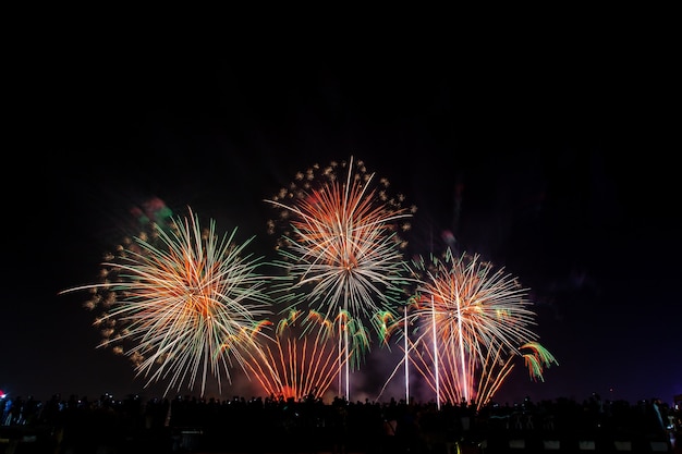La folla osserva i fuochi d'artificio di festa nel cielo scuro della sera.