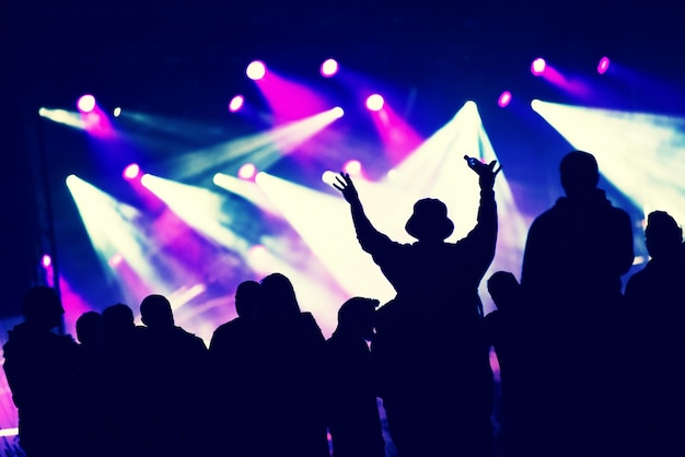 La folla si diverte a un concerto musicale