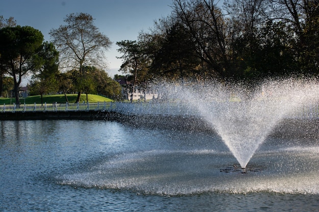 La fontana che sgorga acqua da una posizione verticale in una piscina