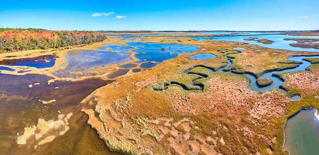 La foresta autunnale circonda le paludi del Maine con insenature tortuose