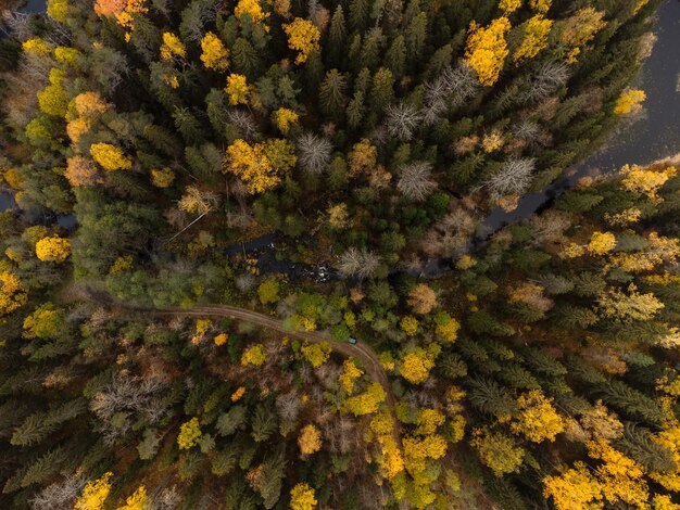 La foresta autunnale in cima alla collina dall'alto La vista del Ruskeala Park dal drone