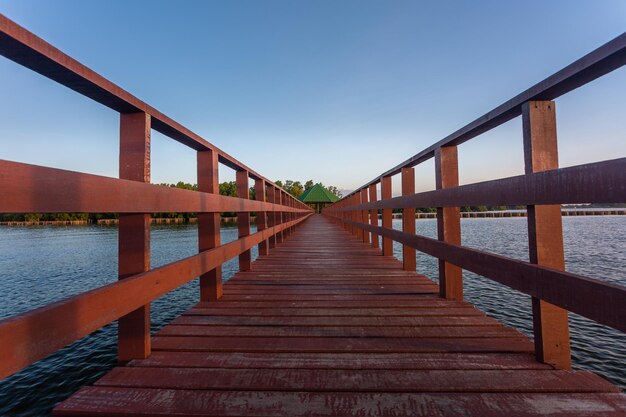 La foresta di mangrovie con passerella in legno Ponte rosso e linea di bambù