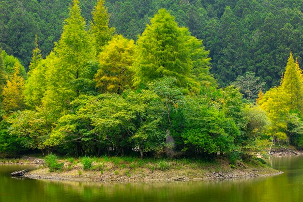 La foresta e i laghi di montagna, Mingchi, nella contea di Yilan, Taiwan, sono una famosa attrazione turistica