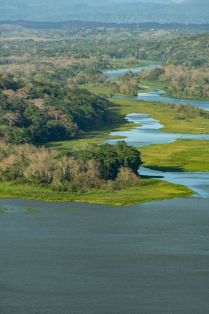 La foresta pluviale tropicale di Gamboa lungo il Canale di Panama Lago Gatun Panama America Centrale