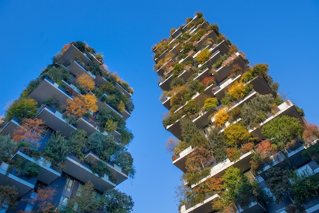 La foresta verticale