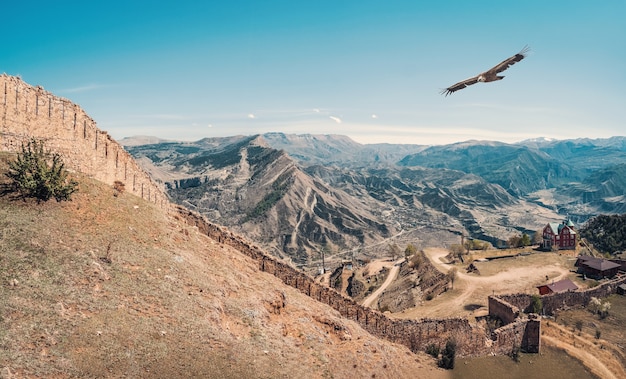 La fortezza Gunib è un monumento storico del Daghestan. Le aquile sorvolano la vecchia fortezza. Russia.