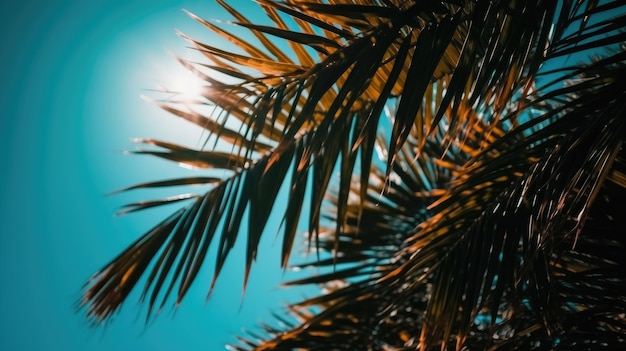 La foto dei raggi del sole che passano attraverso la lussureggiante palma verde lascia il concetto di spiaggia estiva sullo sfondo