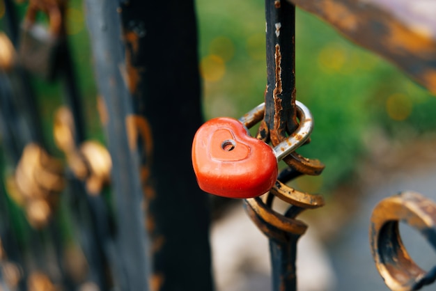 La foto di un piccolo cuore fissa un ponte bello