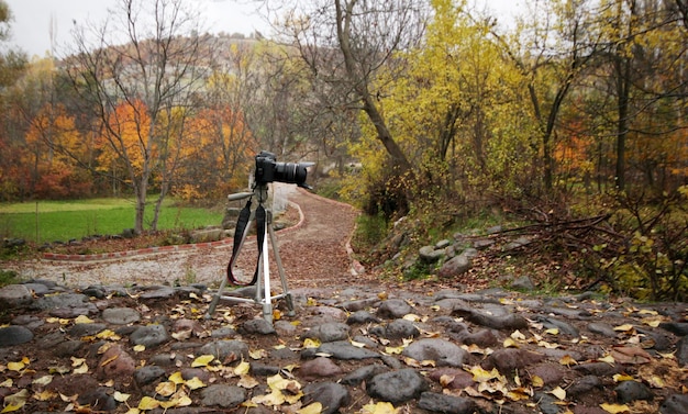 La fotocamera è in attesa di scattare