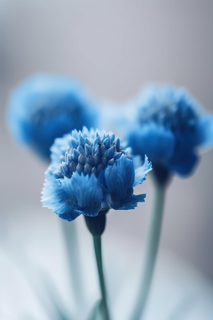 La fotografia macro di un fiore blu