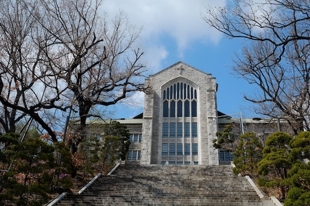 La gente cammina alla Ewha Womans University il 23 marzo 2019 a Seoul, in Corea, la Ewha Womans University è attualmente il più grande istituto di istruzione femminile del mondo