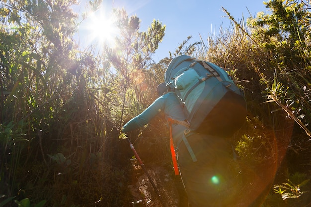 La gente che cammina con grandi zaini nel paesaggio montano - trekking escursionismo mountaneering in mantiqueira gamma Brasile